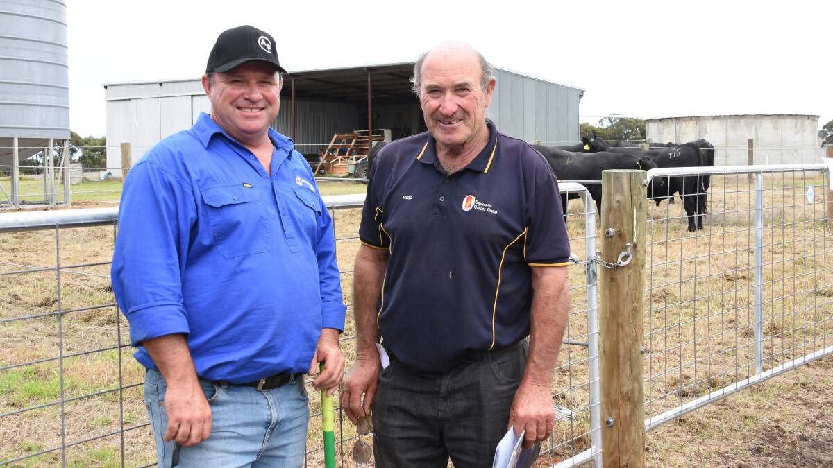 Discussing the line-up of bulls were Allegria Park principal Andrew Kuss (left) and Neil Wandel, Willawayup Farms, Esperance. In the sale Mr Wandel purchased four bulls at an average of $5500.