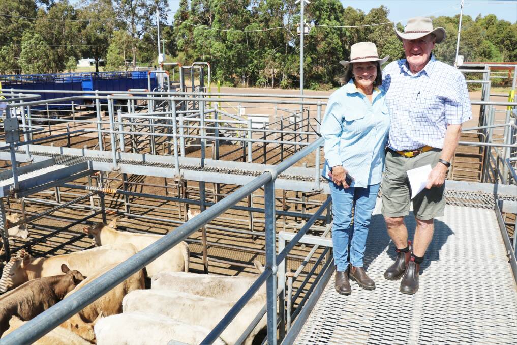 Jen and Len Blyth, Manjimup, offered Charolais weaners which sold to the top-price of $1964.