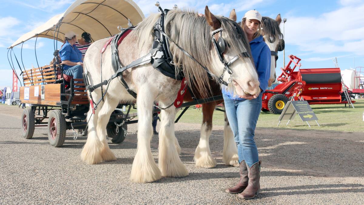 Emma Iddison prepares for another lap around the Dowerin GWN7 Machinery Field Days arena recently, with her majestic Clydesdales.