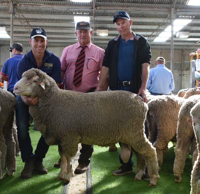 The top price for a Willemenup Poll Merino ram in the sale was $5700 paid for this ram by Heal Farming, West Three Springs. With the ram were Barloo's Timm House (left), Elders stud stock representative Russell McKay and buyer Jim Heal.
