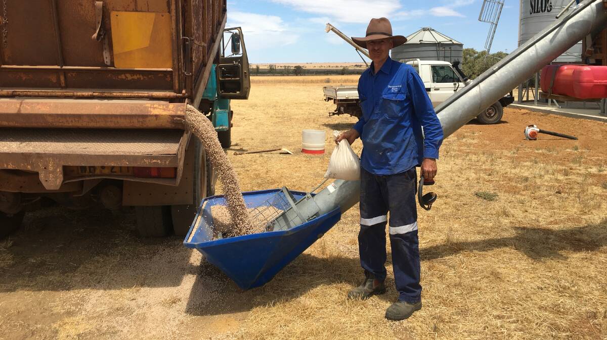  Auguring seed with Simon Metcalf for the lupin establishment project at the Metcalf's property at Wongan Hills.