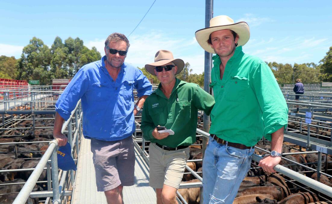 Nutrien Livestock, Margaret River agent Jock Embry (centre) with Simon (left) and Jock Stewart, Rosa Glen, before the sale. Mr Embry bought several pens in the sale for clients.