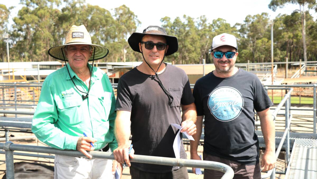 Errol Gardiner (left), Nutrien Livestock, Brunswick/Harvey, inspected the females with Steve Pinzone and Peter Cavallaro, Waroona, before the sale. Mr Gardiner bought several pens during the sale for several clients.