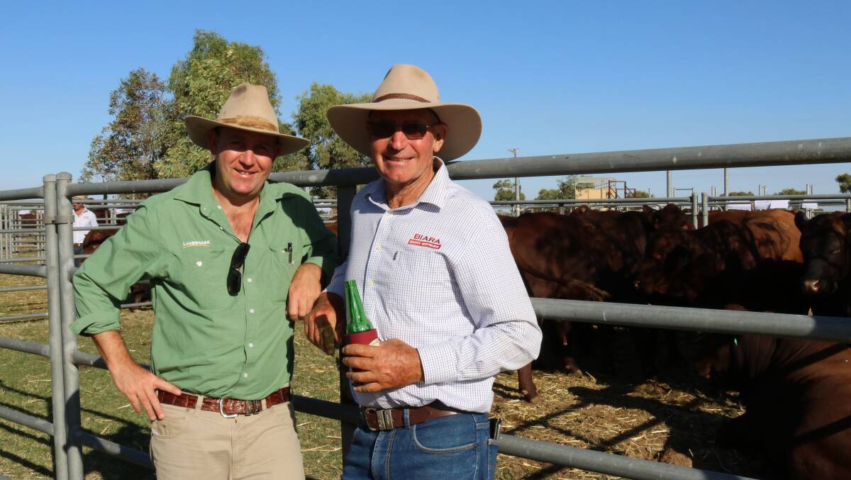 Landmark Mid West livestock manager Mitchell Braithwaite (left), was one of the volume buyers at the sale, pictured here with Biara co-principal John Hasleby, Northampton.