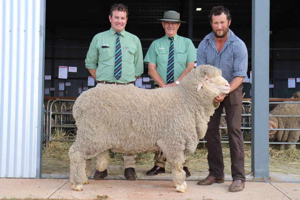 The Sprigg family's East Strathglen stud, Tambellup, sold the season's second top-priced Merino ram and the top-priced ram at a single vendor sale when this two-tooth Poll Merino sire sold at $22,000 to the Charinga Poll Merino stud, Berrimal, Victoria, at their on-property sale. With the ram were Landmark Breeding representative Mitch Crosby (left), Landmark auctioneer Neil Brindley, Brindley & Chatley Landmark Esperance and East Strathglen co-principal Rohan Sprigg.