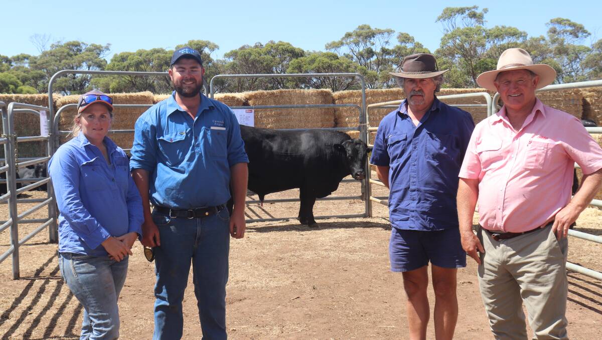 Carenda stud principals Daniegh Renton (left) and Matt Kitchen, top price buyer Fred Venables and Elders agent Russell McKay with the top-priced bull ($6500) at the Carenda bull sale at Katanning last week.
