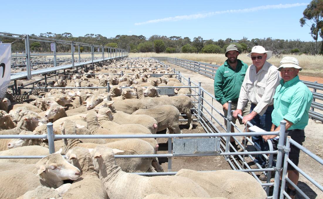 With the $232 top-priced line of ewes at the annual Nutrien Livestock ewe and wether lamb sale at Narrogin last week were buyer Ben Kealy (left), Nutrien Livestock, Williams, vendor Kel Price, K & J Price, Wandering and sale co-ordinator Ashley Lock, Nutrien Livestock, Narrogin. The genuine line of 333 October shorn Strath-Haddon blood 2.5 and 3.5 ewes were purchased by Mr Kealy for a Williams grazier.