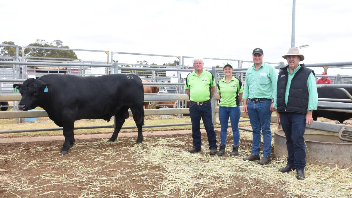 The Ponderosa Angus stud, Albany, topped the prices in the Angus section when this bull Ponderosa Genesis S2 sold for $14,500 to a buyer from Allora, Queensland, operating on AuctionsPlus. With Genesis S2 were Ponderosa principal Greg Brown (left), Ponderosa stud connection Lily Faulkner, Mt Barker, Nutrien Livestock, Albany representative Laurence Grant and Nutrien Livestock South West manager Mark McKay, who relayed the AuctionsPlus bids during the sale.