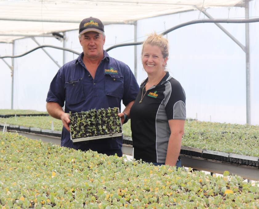 Chatfield's Tree Nursery owners Dustin and Lisa McCreery in the hot house with 115,000 Anameka fodder shrubs seedlings. The seedlings remain in the hot house for four to five weeks, in a controlled environment to allow them to strike, they are then transferred into an outside nursery area where they continue to grow and are graded ready for delivery in June 2020.
