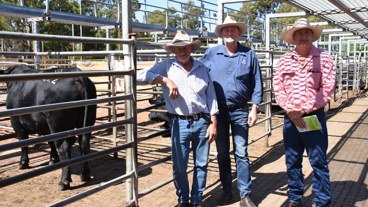 The volume buyer was Alcoa Farmlands, Wagerup and Pinjarra. Looking over one of the bulls it purchased were Alcoa Farmlands' Richard Gardiner (left) and Vaughn Byrd with Elders Waroona representative Wade Krawczyk.