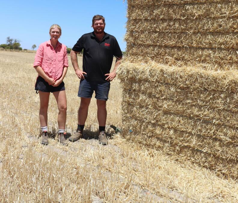 Holly and Tom Godfrey were excited to begin controlling more of the farm and experiment with new chemicals as their parents go on European holidays.