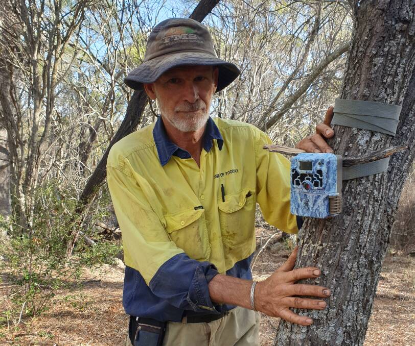 Toodyay Shire reserve management officer Greg Warburton sets a camera trap to monitor feral pigs on private land in the region.
