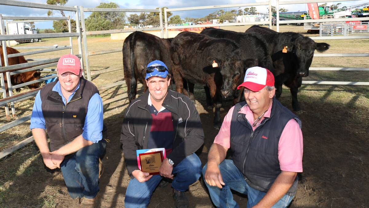 With these Angus females which won the heifer competition were section steward Brad Kupsch (left), Allanooka, exhibitor Darren Cobley, Walkaway and Elders Mingenew livestock agent Ross Tyndale-Powell.