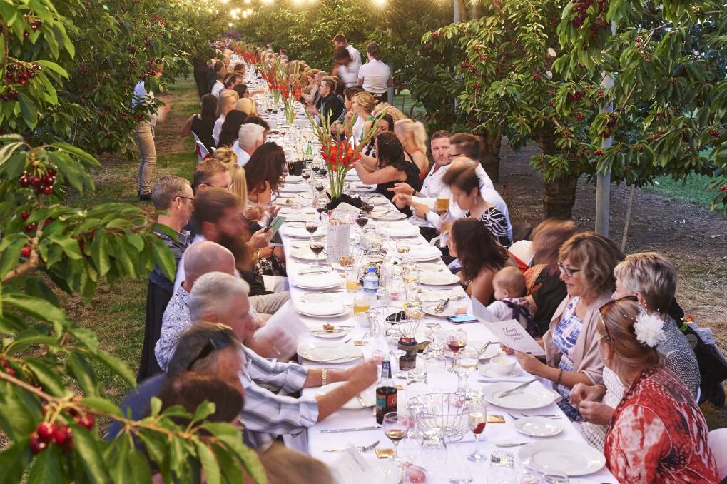 The main event is different this year. Instead of being the previous Southern Forests Long Table experience, this year attendees can enjoy a gourmet picnic with the Cherry and White event. There are various options to suit different preferences and budgets.