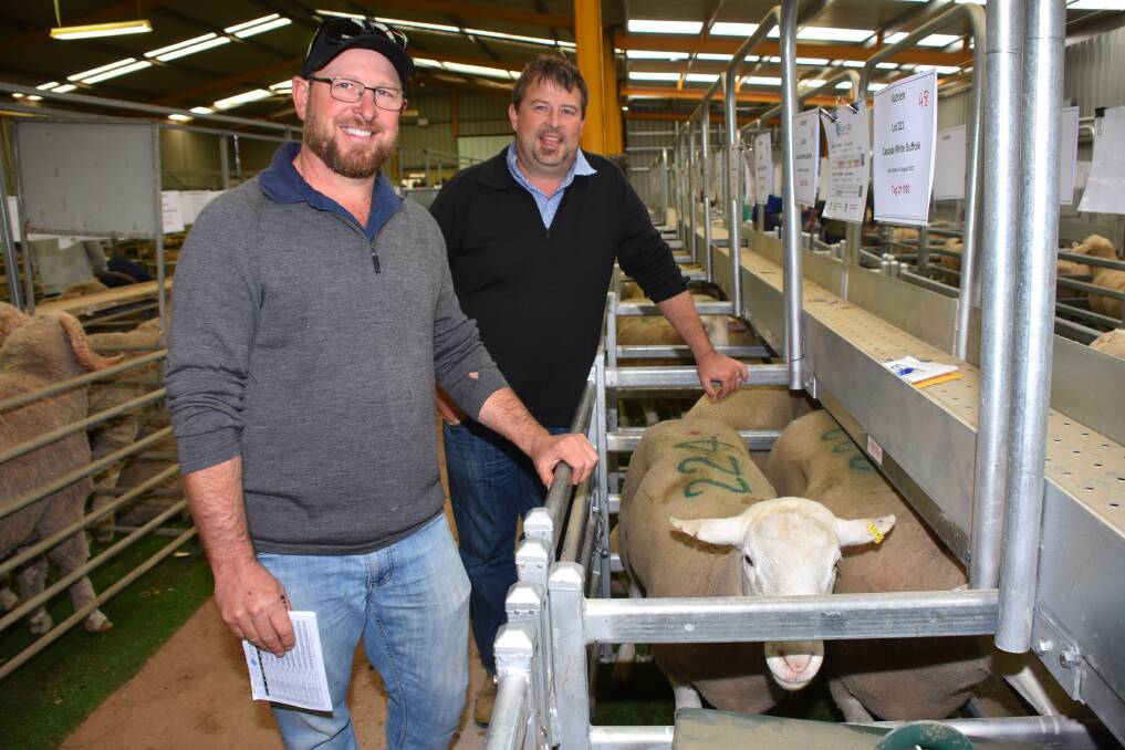 In the prime lamb sire section the Cascade White Suffolk stud, Cascade, offered 62 rams and 15 of them were knocked down at an average of $1100 to Epasco Farms, Condingup. Discussing the rams purchased by the operation were Cascade principal Scott Welke (left) and Epasco Farms farm manager Nick Ruddenklau.