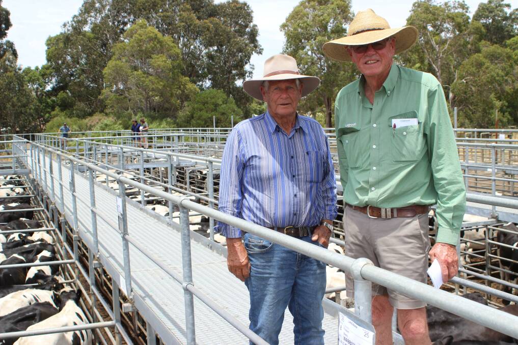  Paying a top price of 270c/kg for 12 Friesian steers weighing 418kg from BM & A Dungey, Brunswick, was John Edgley, JH Edgley, Albany. Aiding him was Landmark Mt Barker agent Harry Carroll. On the day Mr Edgley secured three substantial drafts of black and whites from South West dairy producers.