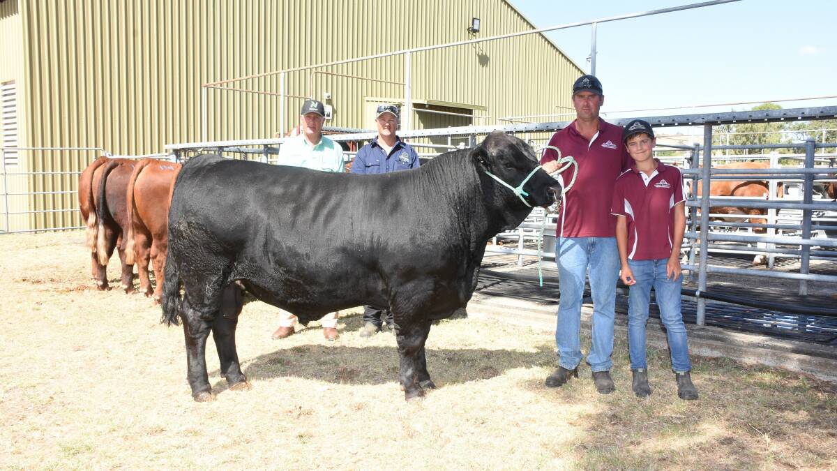  In the Black Simmental offering prices topped at $18,000 for this bull Mubarn Tobasco T018 (P) (ET) (B) from the Mubarn stud, Pinjarra. With Tobasco T018 were Nutrien Livestock Great Southern manager Bob Pumphrey (left), buyer Wayne Tapscott, Waymu Farms, Kalgan and Mubarn principal Paul Tuckey with son Mason.