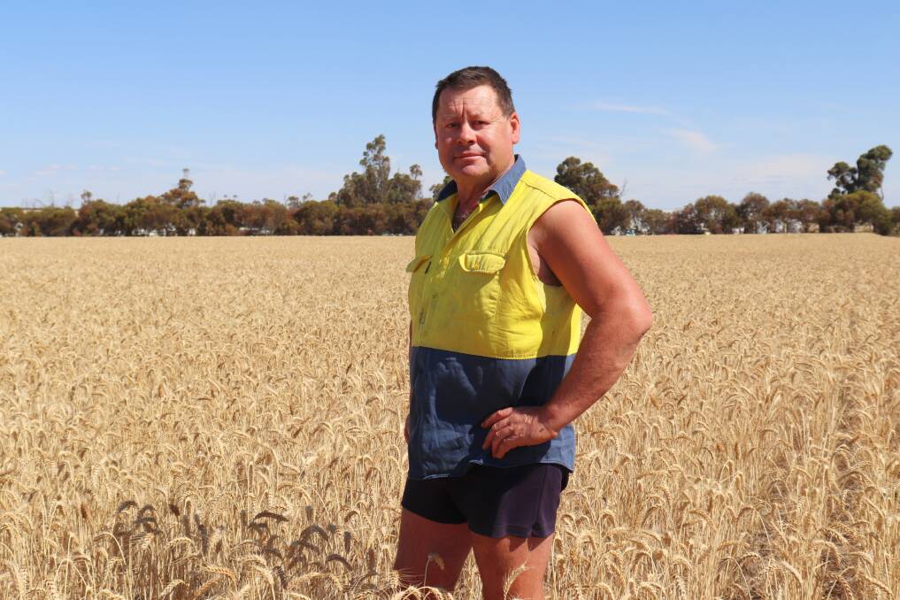 Neville (Spud) Turner's home farm is 14 kilometres west of Corrigin, but he crops about 6000 hectares that is spread in all directions from the centre of town.