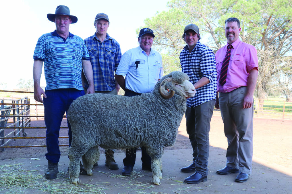 The Dewar family's Woodyarrup stud, Broomehill, sold the top-priced Merino ram for the season when this ram was knocked down at $11,200 at the stud's on-property ram sale. With the rams were buyers Greg (left) and Ben Doyle, Wylivere Farms, Corrigin, Woodyarrup stud co-principals Craig and Lachlan Dewar and Elders auctioneer Nathan King.