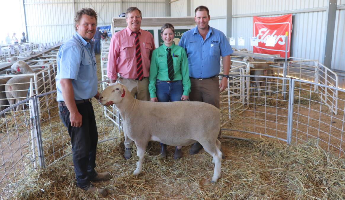 Stockdale stud co-principal Brenton Fairclough (left), Elders auctioneer Graeme Curry, Nutrien Livestock trainee Zoe Nicholas and Westcoast Wool & Livestock, Brookton Pingelly agent Stephen Keatley, with the $5200 top-priced White Suffolk stud sire, purchased by RJ & LJ Bassett, Brookton.