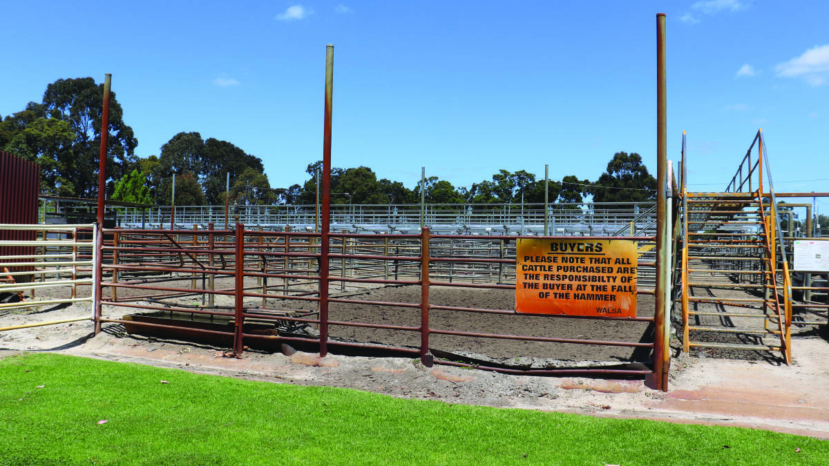 The Boyanup Saleyards are leased by the WA Livestock Salesmen's Association (Elders and Landmark). As pictured they are ageing and have no shade for cattle. WA Agriculture Minister Alannah MacTiernan said she was in discussions with WALSA and the Capel Shire to invest $3 million in upgrades, which also includes a possible roof.