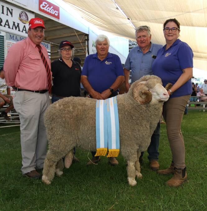The reserve grand champion Merino ram and reserve champion medium wool Merino ram was exhibited by the Rintoul familys Auburn Valley stud, Williams. With the ram also sashed the champion two-tooth ram, were sponsors Tim Spicer (left), Elders stud stock and Jodie Rintoul, Farm Weekly and Auburn Valley stud connections Peter, Jeffery and Brooke Rintoul.