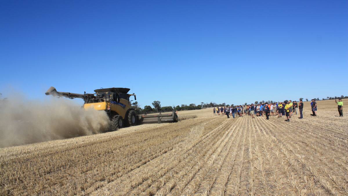  A New Holland 9.90 header in action at Broomehill last Friday demonstrating the new mechanical-drive Integrated Harrington Seed Destructor, watched by a crowd of about 120 farmers.
