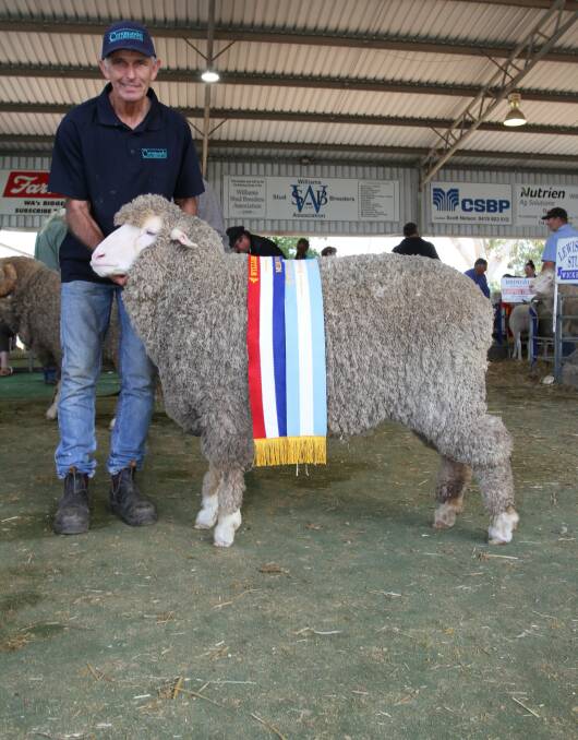 Coromandel stud principal Michael Campbell, Gairdner, with his reserve grand champion Poll Merino ewe and champion medium wool Poll Merino ewe.