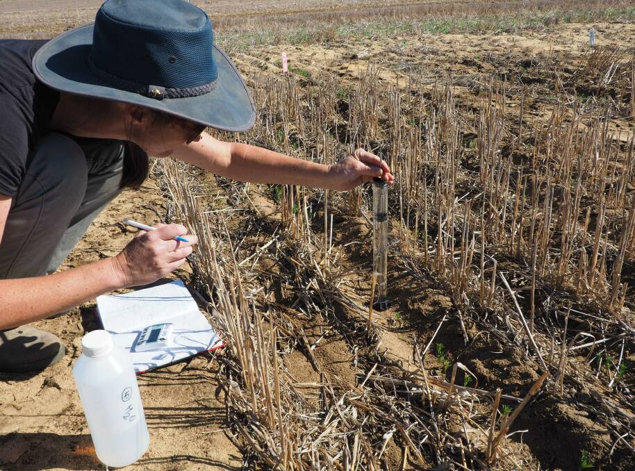 CSIRO researcher Sarah Rich in the field measuring water infiltration into pulse plots. Picture by Kirra Holley, West Midland Group.