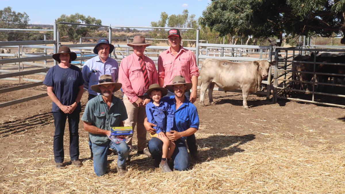 With the top-priced $15,000 bull, Southend Sassy, is top price buyers Kerry Pinch (left) and Rob Bass, RP Bass and KR Pinch, Boyup Brook, with Virbac area sales manager Tony Murdoch, Elders auctioneer and Donnybrook representative Pearce Watling, Elders Boyanup representative Alex Roberts and Southend stud principal Kurt Wise holding his son Billy.