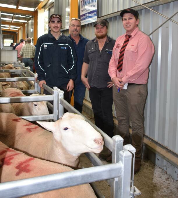 Patrick (left) and Glen Quinlivan, Gibson, looked over the White Suffolk rams they purchased from the Brimlo stud, Salmon Gums, with Brimlo co-principal Tim Starcevich and Elders, Esperance representative Callum ONeill. The Quinlivans were the volume buyer from the Brimlo White Suffolk offering purchasing four rams all at $600.