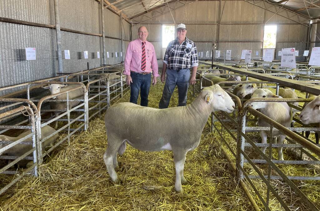 With the $1400 top-priced White Suffolk ram sold by the Shirlee Downs stud, Quairading, at last weeks Shirlee Downs and Wendenlea Ram Sale at Bencubbin were Elders Merredin branch manager Andrew Peters (left) and top price buyer, Des Tilbrook, CA & DA Tilbrook, Tammin.