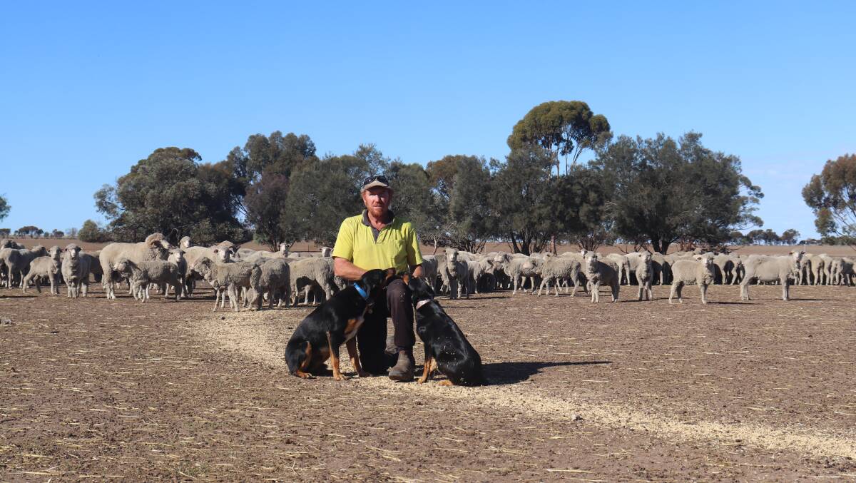 Scott Flavel with work dogs Jack and Belle.