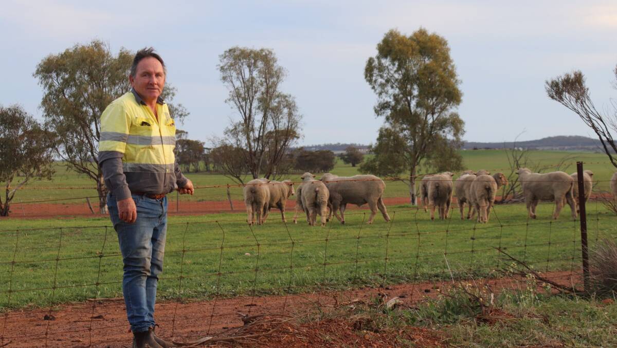 Les Tyson is the second generation to farm the family property at Kulin, where Merinos are a big part of the operation.