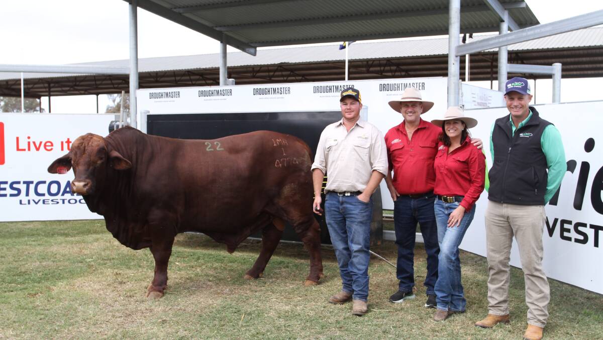 Munda Reds Glencoe manager Ben Wright (left), Gingin buyers Paul Laycock and Katrina Wallis, High Country Droughtmaster stud, Toogoolawah, Queensland and Nutrien Livestock, pastoral agent Shane Flemming with the $40,000 second top-priced bull Munda Reds Golden Goose 4774 (PP) (by (Munda Reds Commander 1643).