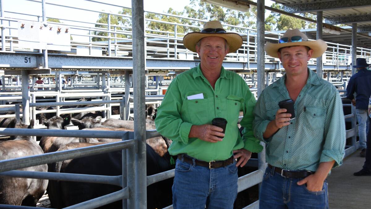 Eric (left) and Jacob Walmsley, Bancell Falls, Coolup, bought numerous lines during the sale including three pens of Angus second calvers with calves at foot from MJ Blyth & Co, Manypeaks. They paid $2900 and $2800 for pens of nine and $2750 for a pen of eight.