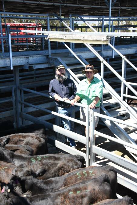 With the 500c/kg top-priced liveweight pen of steers in the sale were vendor Vadim Pantall, VW & SE Pantall, Narrikup and Nutrien Livestock, Albany representative Allan Pearce.