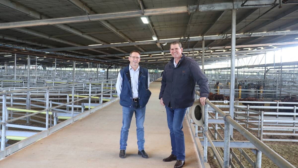 AWNs WA wool manager and now also WA livestock manager, Greg Tilbrook (left), with AWN national livestock and property general manager Peter Weaver at the Muchea Livestock Centre.