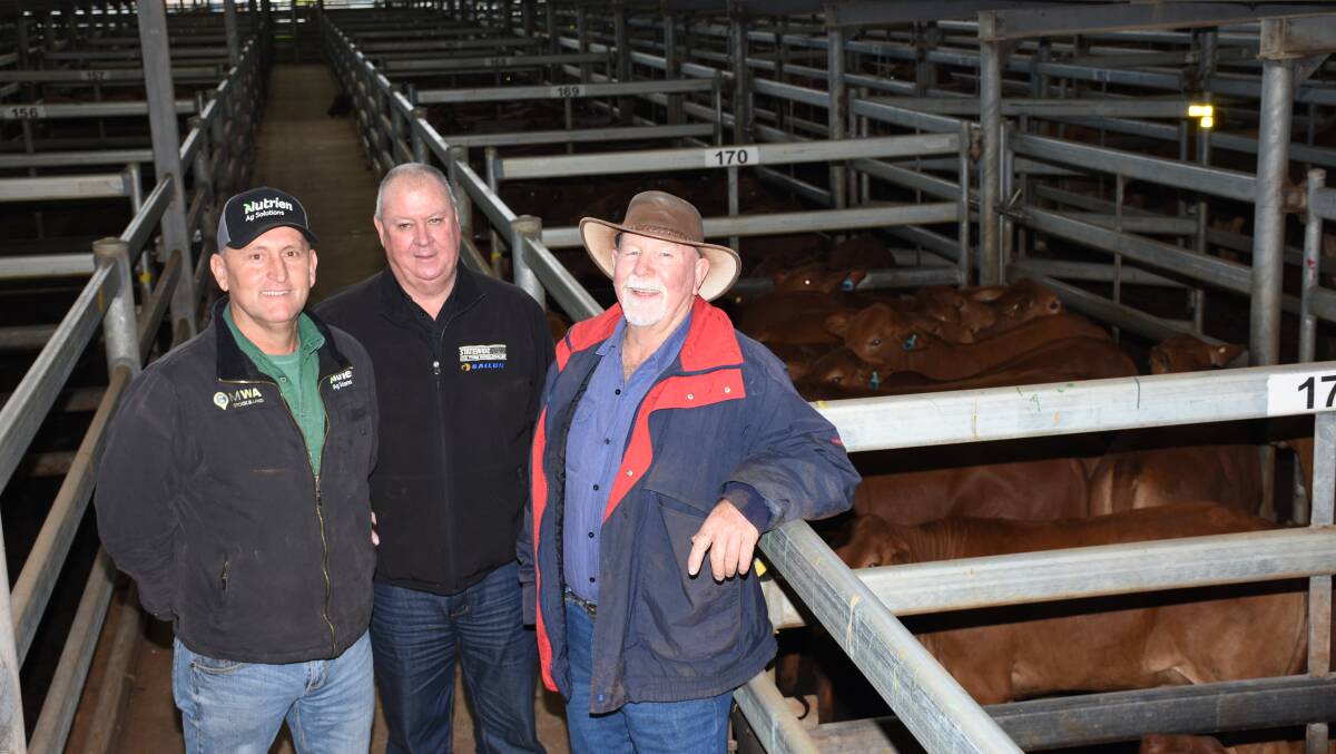 Craig Walker (left), Nutrien Livestock Mid-West and Wheatbelt, Rex Louis, Statewide Tyres, Perth and buyer Brian Hall, Beringarra station, Upper Murchison. Mr Hall purchased nine pens of Droughtmaster and Santa Gertrudis heifers from Mundabullangana and Coolawanyah stations respectively paying to 568c/kg and $1652 for Munda heifers.