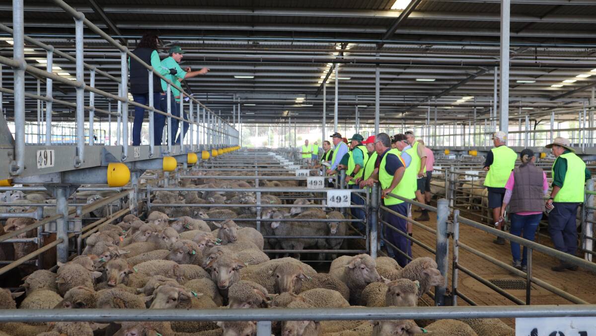 Vendors have begun attending livestock saleyards again after COVID-19 restrictions were lifted last week in the Eastern States.