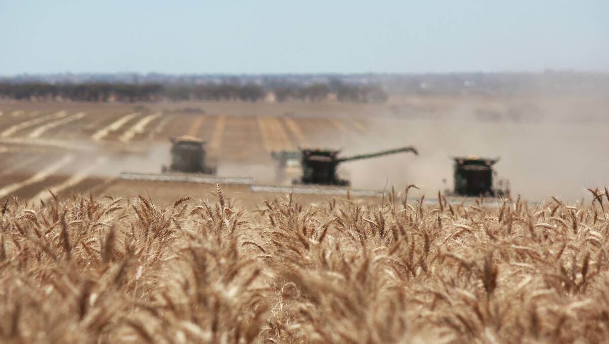 Russia may tighten new crop supplies