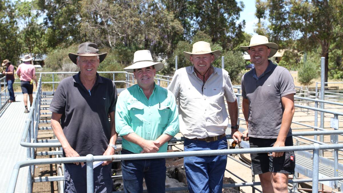 Nutrien Livestock, Boyup Brook agent Jamie Abbs (second left) with volume vendors Murray Cross (left), John Awcock and Aaron Roberts, Dwalganup Grazing, Bridgetown/Boyup Brook, who sold 225 Angus weaners to $2275 and 686c/kg for steers and $2274 and 634c/kg for heifers at the WALSA weekly weaner sale at Boyanup.