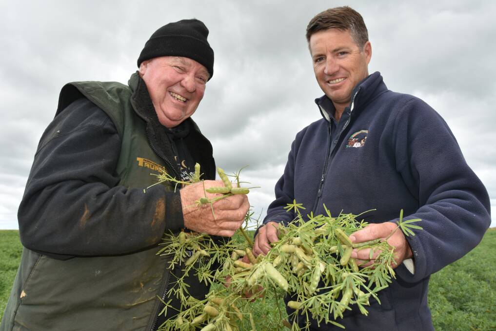 Dale Mott (right), Esperance Rural Supplies and Neridup grower John Wallace, pictured last year inspecting the impressive nodulation by lupins on the Wallaces property sown with the SE14 moisture attraction and retention agent. 