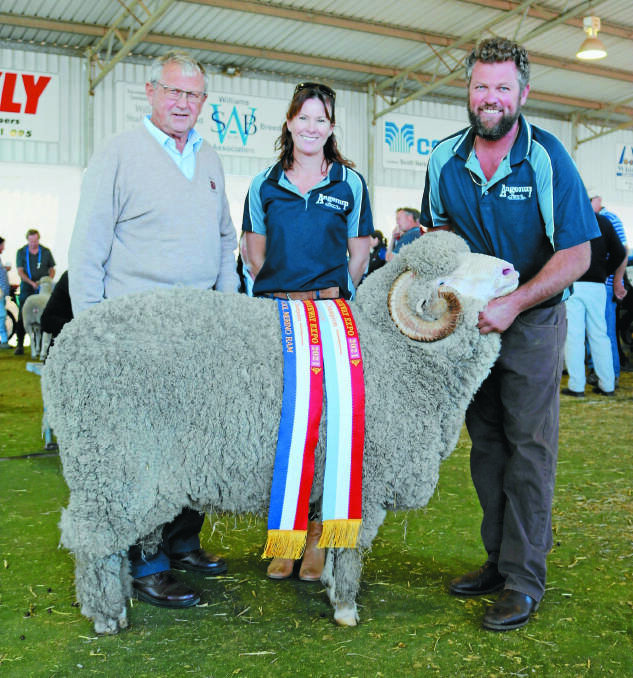  The grand champion Merino ram was exhibited by the Angenup stud, Kojonup. With the ram which was also sashed the champion medium wool Merino ram were stud principals Rod (left), Tennille and Paul Norrish.