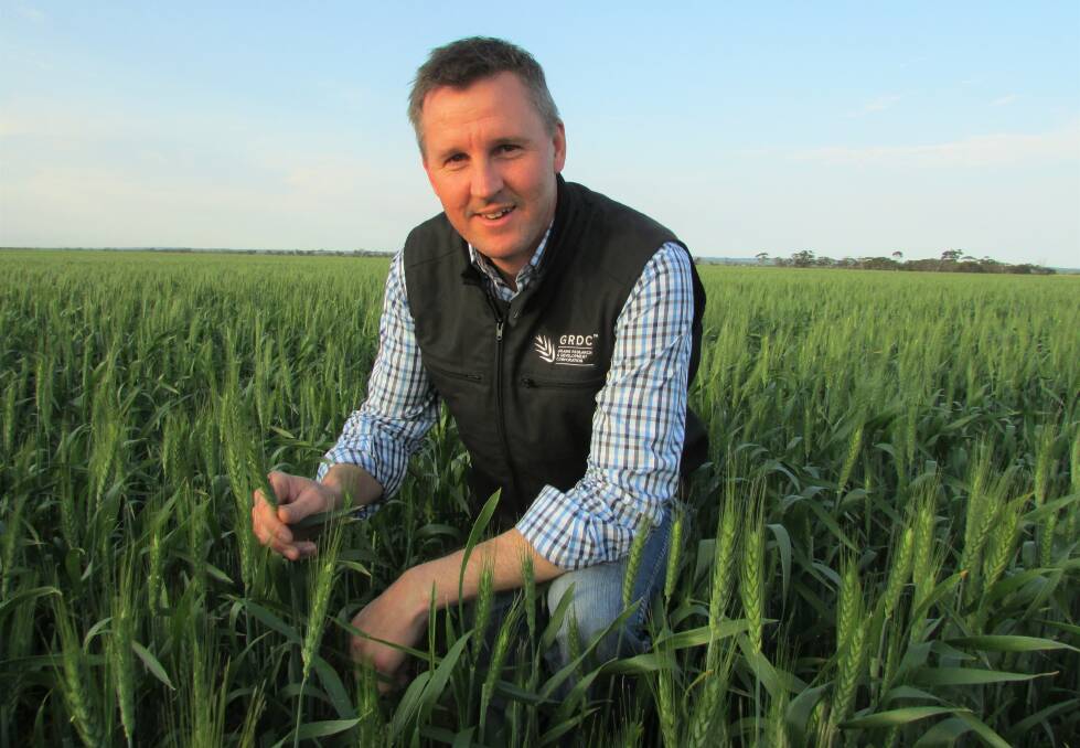 Craig Ruchs, GRDC senior regional manager south, said the five centres of excellence and a network of focus farms would be established in high yield potential grain-growing environments across Australia.