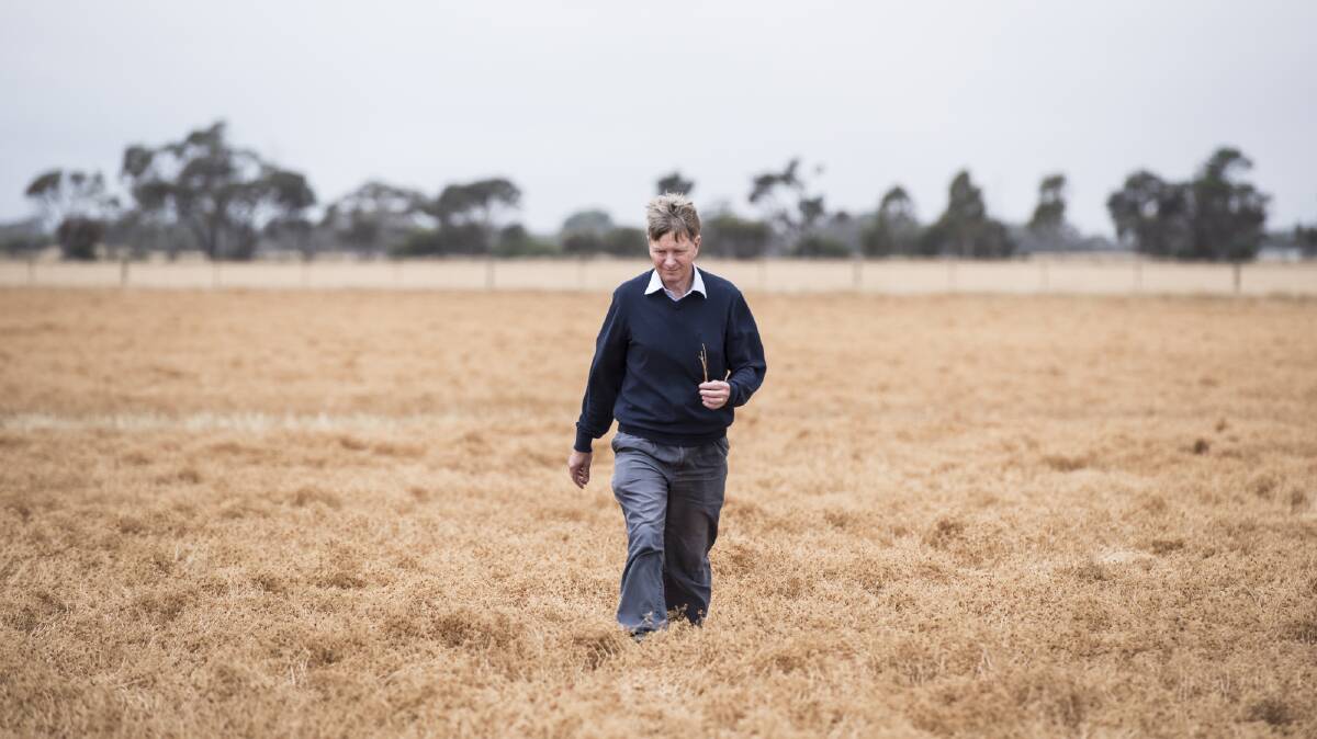 Chris Preston said the new Group G herbicides will be of particular value in pulse crops.
