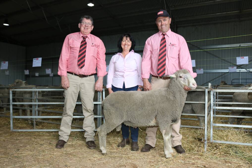 Elders stud stock representative Michael O'Neill (left), with Royston stud principal Sandy Forbes, Napier, and Elders Mt Barker representative Dean Wallinger pictured handling the $2000 sale top-priced Prime SAMM sold to an undisclosed buyer at the Royston stud's annual on-property ram sale.