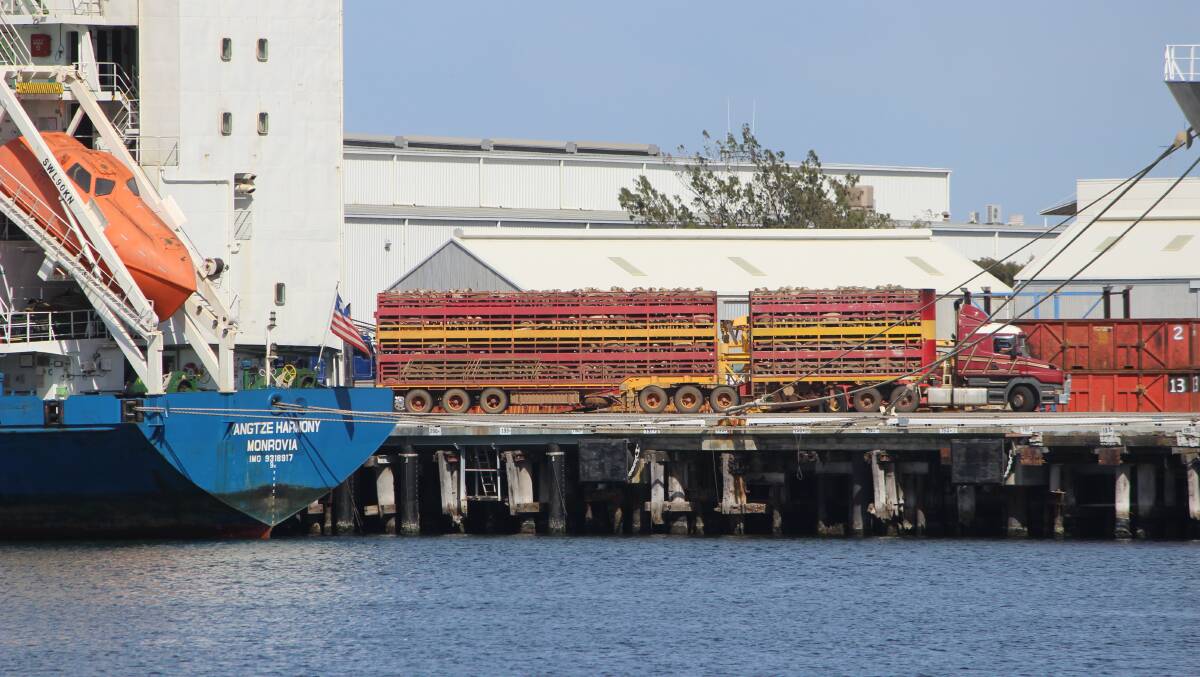 Sheep and cattle being loaded aboard the Yangtze Harmony last year at Fremantle Port.
