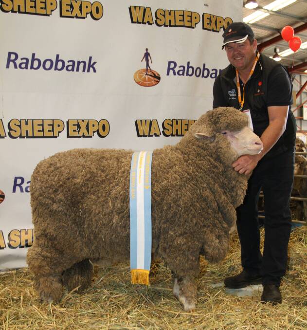 Rangeview stud principal Jeremy King, Darkan, with his fine wool Poll Merino ram his stud sold for $15,000 to New South Wales commercial producer Ashley Wilson, Yass.