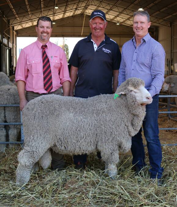 Elders auctioneer Nathan King (left), buyer Ross Ditchburn, Golden Hill stud, Kukerin, and East Mundalla co-principal Daniel Gooding with the stud's $11,250 top-priced Poll Merino and second top-priced ram.